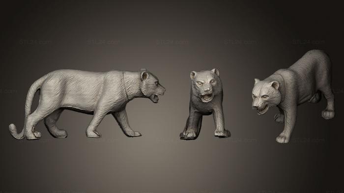 Статуэтки львы тигры сфинксы (Тигр, STKL_0260) 3D модель для ЧПУ станка